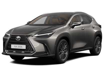 Ворсовые коврики на Lexus NX II 2021 - 2025 в Архангельске