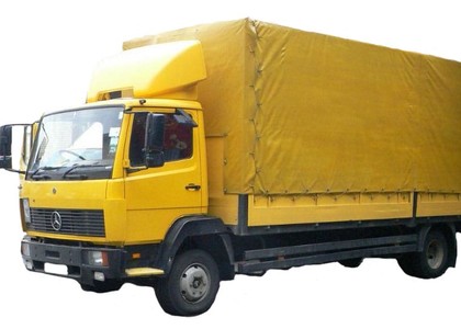 Коврики на Mercedes 814 1983 - 1998 в Архангельске