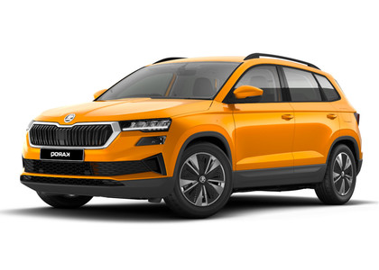 EVA коврики на Skoda Karoq 2017 - 2025 в Архангельске