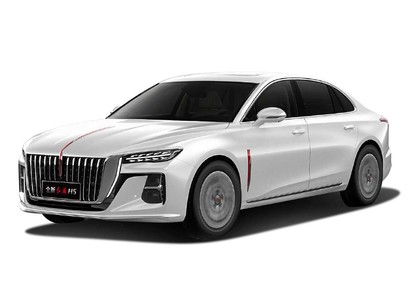 Ворсовые коврики на Hongqi H5 II 2022 - 2025 в Архангельске