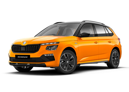 Коврики на Skoda Kamiq (Европа) 2019&nbsp;-&nbsp;2026 в Архангельске