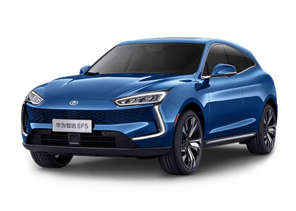 Ворсовые коврики на Seres SF5 2019&nbsp;-&nbsp;2022 в Архангельске