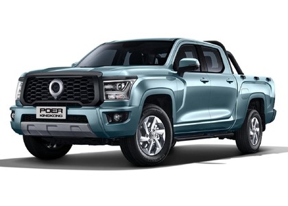 Коврики на Great Wall Poer KingKong 2021 - 2025 в Архангельске