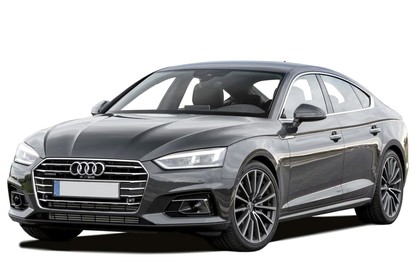 Ворсовые коврики на Audi S5 (B9) 2016 - 2025 в Архангельске