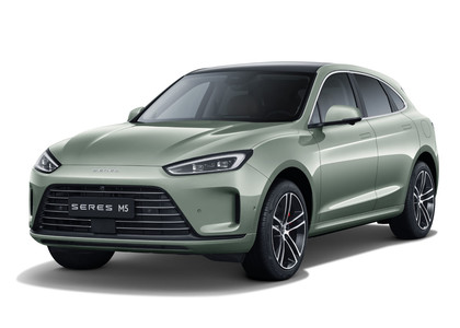 Коврики на Seres M5 2021 - 2025 в Архангельске