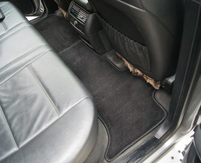 EVA коврики на BMW X5 (E53) 1999 - 2006 в Архангельске