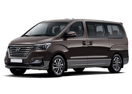 Ворсовые коврики на Hyundai H1 II 2007 - 2022 в Архангельске