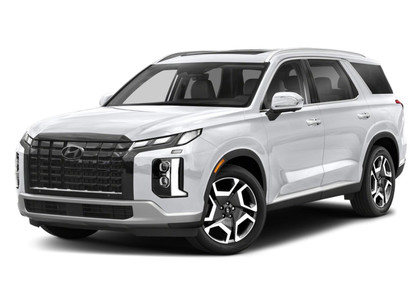 Ворсовые коврики на Hyundai Palisade 2018 - 2025 в Архангельске