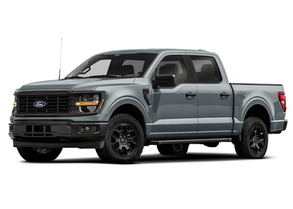 Коврики на Ford F150 2020 - 2025 в Архангельске