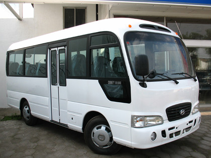 Коврики на Hyundai County 2006 - 2016 в Архангельске