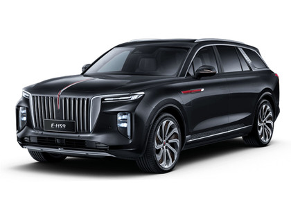 Ворсовые коврики на Hongqi E-HS9 2022 - 2025 в Архангельске