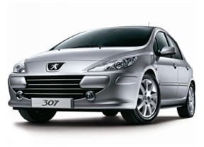 Коврики на Peugeot 307 2001 - 2008 в Архангельске