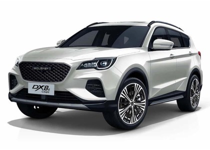 Коврики на Soueast DX8S 2022 - 2025 в Архангельске