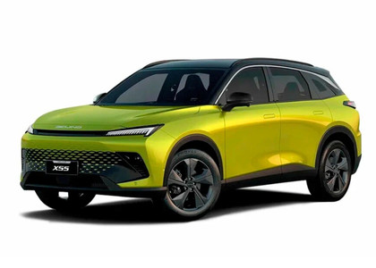 EVA коврики на Baic X55 2022 - 2025 в Архангельске