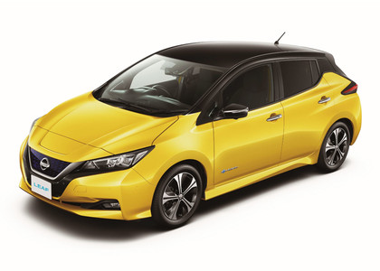 EVA коврики на Nissan Leaf (ZE1) 2017 - 2025 в Архангельске