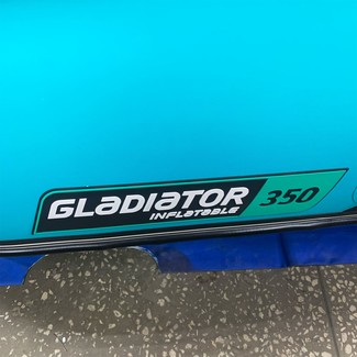 Коврики на Лодки Gladiator E350S  в Архангельске