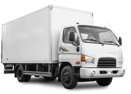 Коврики на Hyundai HD65 HD72 HD78 1997 - 2021 в Архангельске