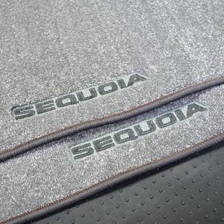 Коврики на Toyota Sequoia I 2001 - 2008 в Архангельске