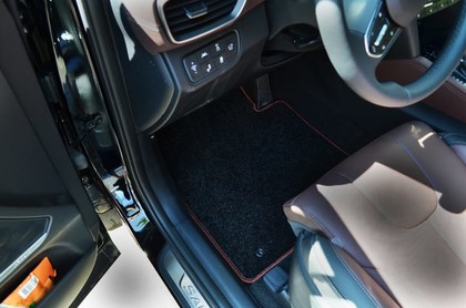 Коврики на Hyundai Santa Fe IV 2018 - 2021 в Архангельске
