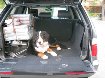 EVA коврики на BMW X5 (E53) 1999 - 2006 в Архангельске